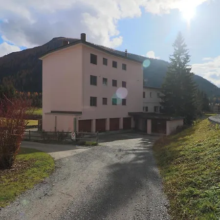 Golf - Schmid 达沃斯